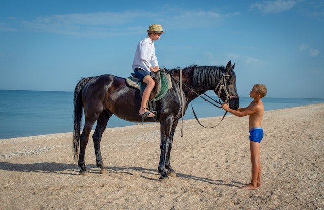 Pferdeallergie? Reiten dennoch möglich!