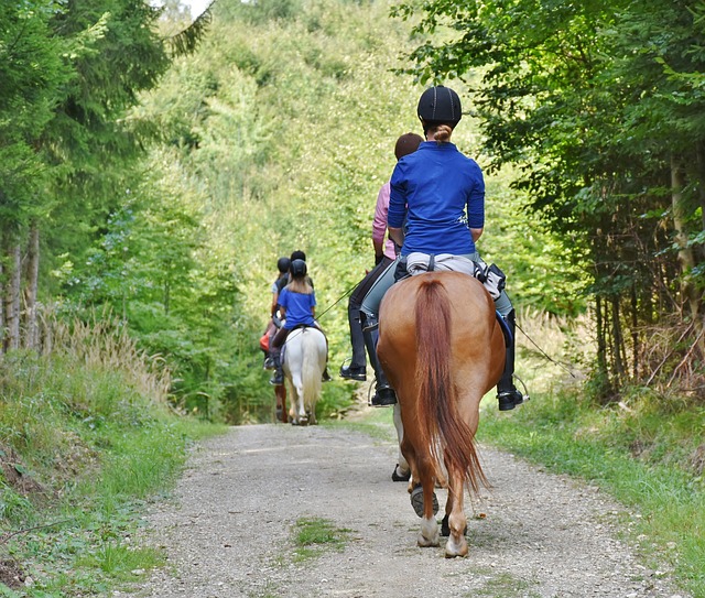 Reiten als Hobby für Kinder