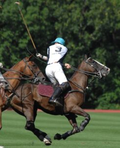 polo, man, player